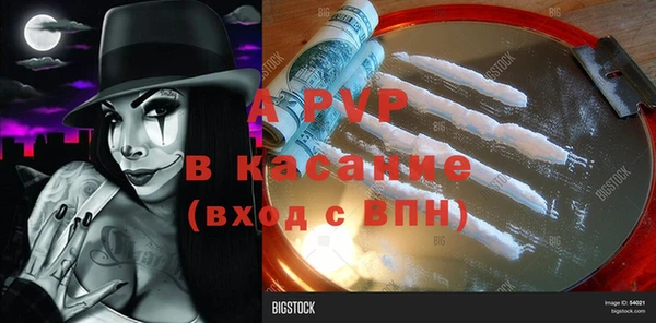 молекула духа Белоозёрский